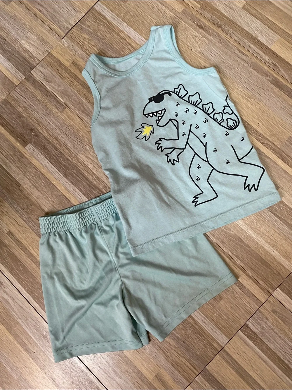 GARANIMALS 2 piece short set size toddler boys 2T